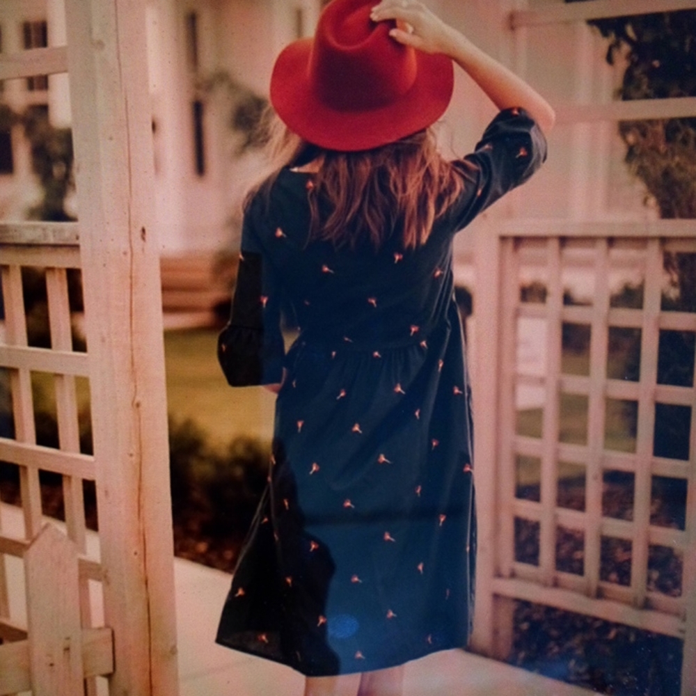 🌸NWOT Cutest dress in the world - Picture 5 of 8
